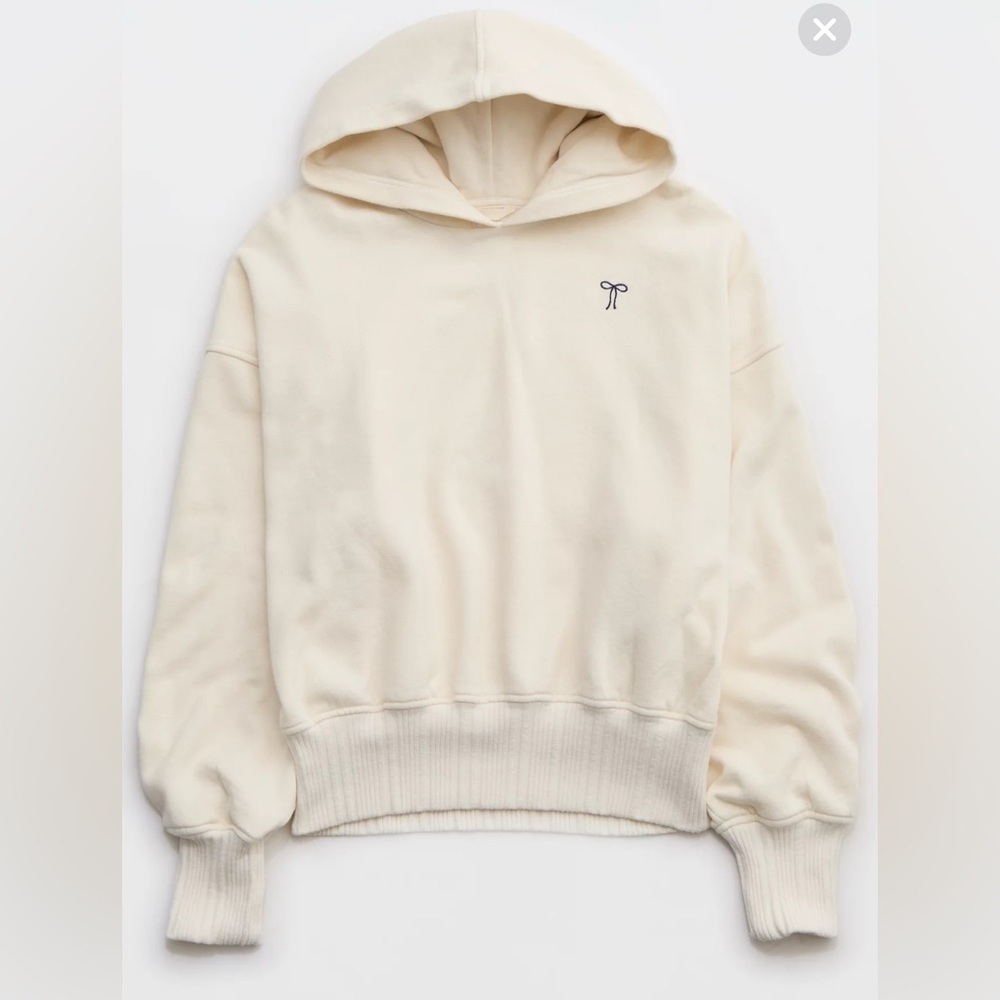 EUC Aerie Cropped Hoodie - Picture 3 of 5